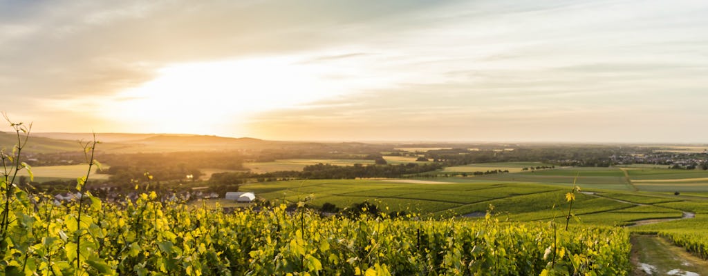 Viagem de um dia por Champagne com degustação saindo de Paris