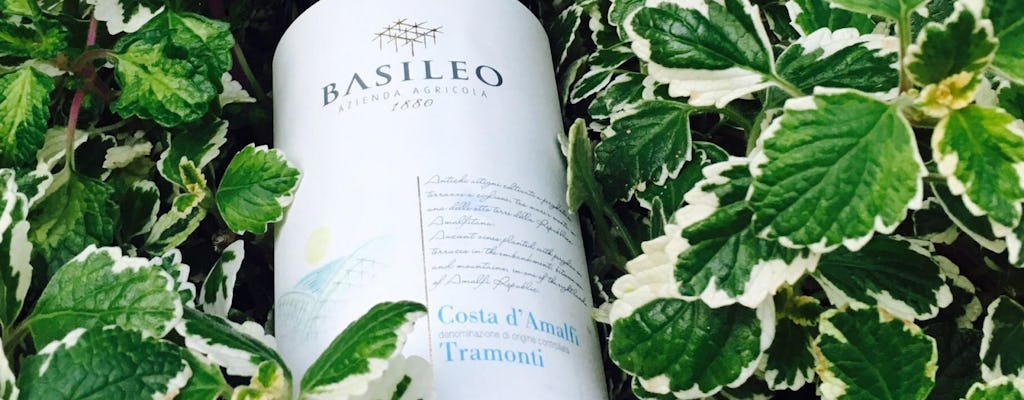 Degustazione Vini Basileo - Antiche vigne della Costa di Amalfi
