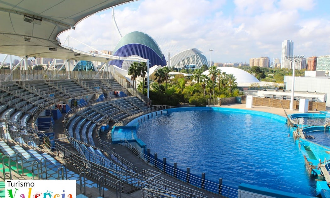 Biglietti con ingresso prioritario per il parco oceanografico di Valencia musement