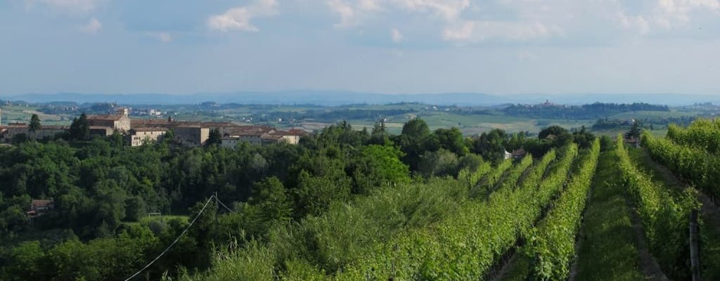 Dégustation de vins et spécialités locales à ViCaRa Winery à Monferrato