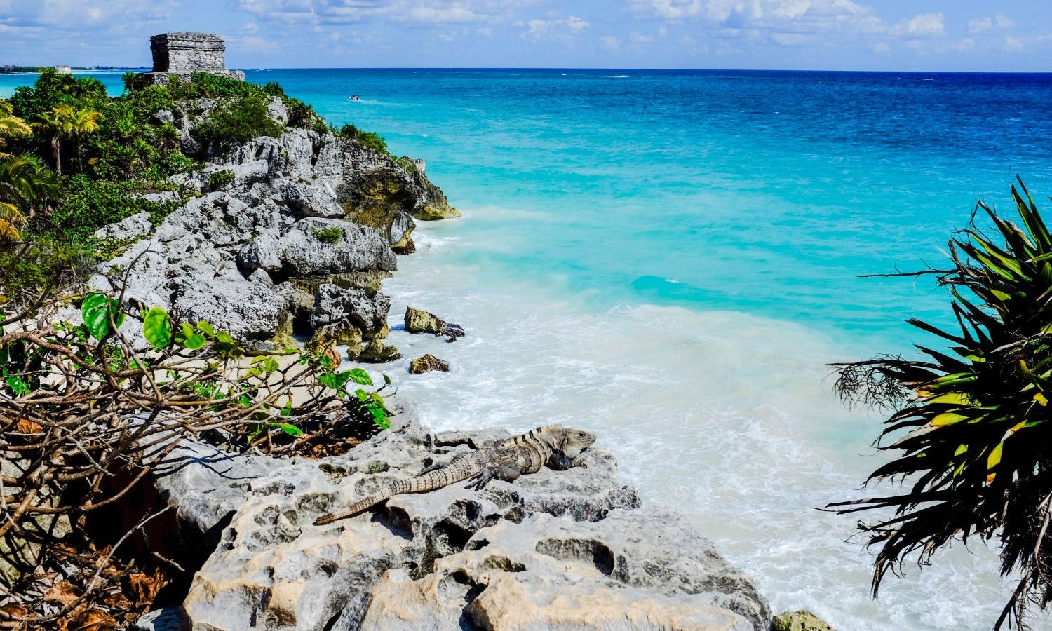 Excursão Tulum Discovery saindo de Cancun e Riviera Maya