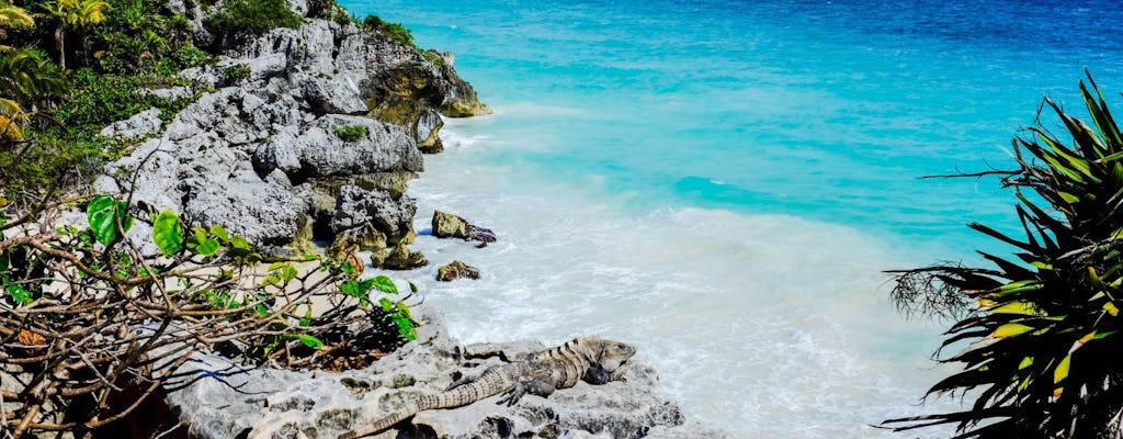 Tulum-Entdeckungstour ab Cancun und Riviera Maya