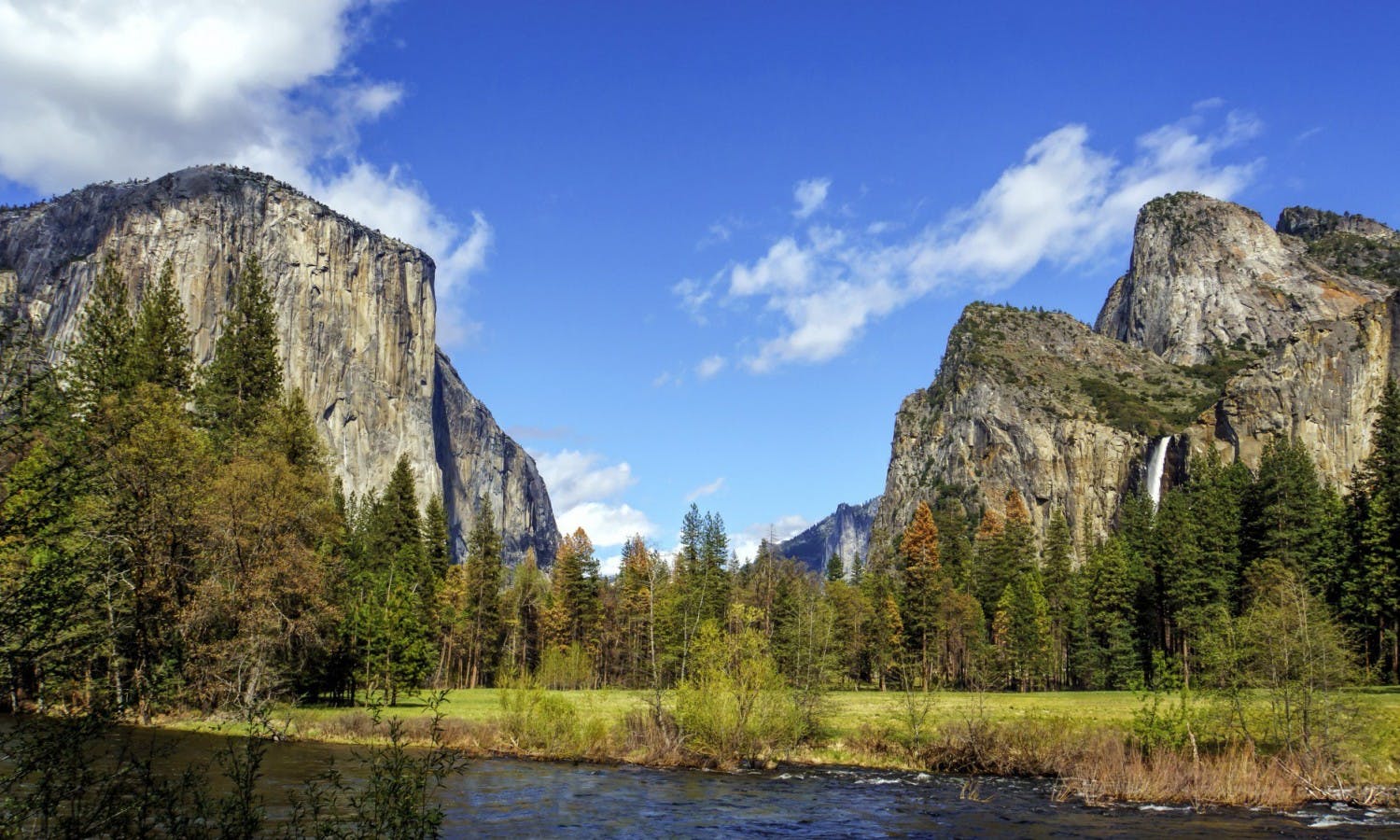 Komplett Yosemite-opplevelse med rundtur til de gigantiske sequioa-trærne