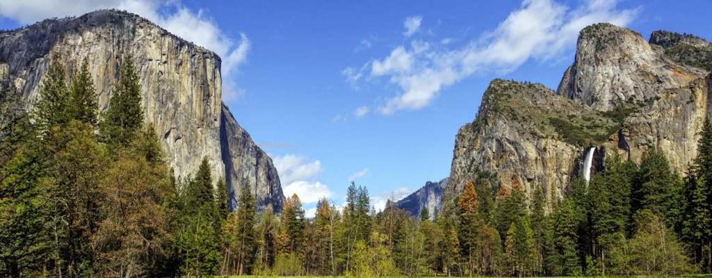 Total Yosemite experience with giant sequoias tour