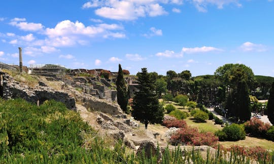 Daily excursion to Pompeii with wine tasting on Mt Vesuvius