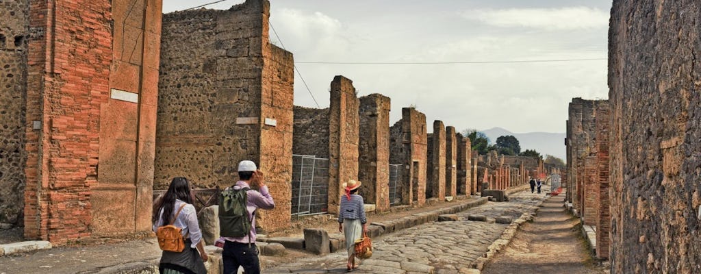 Wycieczka z przewodnikiem po Pompejach i Herkulanum