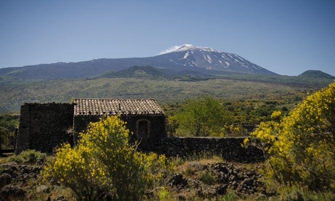 Visita guiada al Etna, Randazzo y Valle d'Alcantara desde Taormina