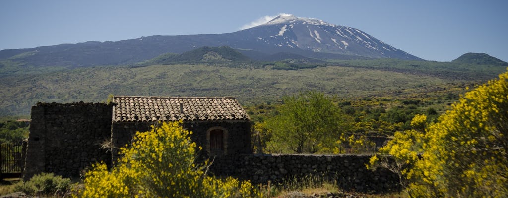 Visite guidée de l'Etna, Randazzo et Valle d'Alcantara au départ de Taormina