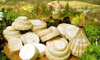Visit of Vallenostra cheese farm in the Val Borbera with Montebore tasting