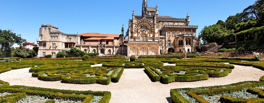 Coimbra and Buçaco full-day private tour from Porto