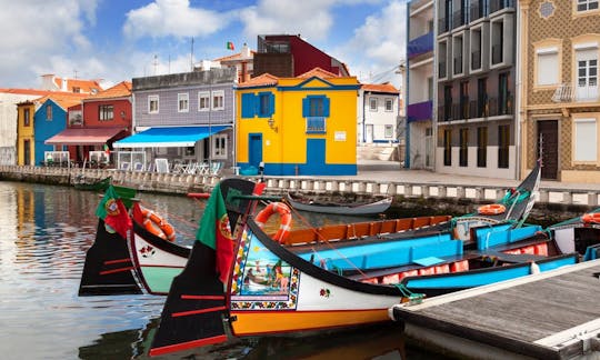 Tour privato di mezza giornata ad Aveiro da Porto