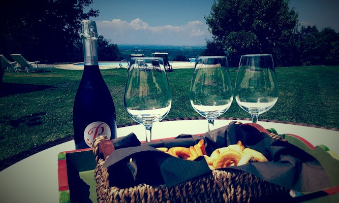 Gavi private wine tasting at Il Poggio in Piedmont