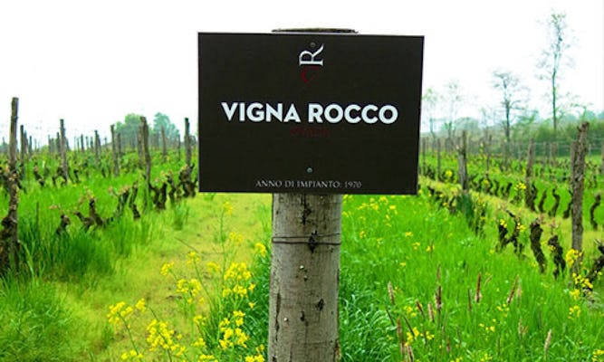 Biodynamic wine tasting with winery tour in Monferrato