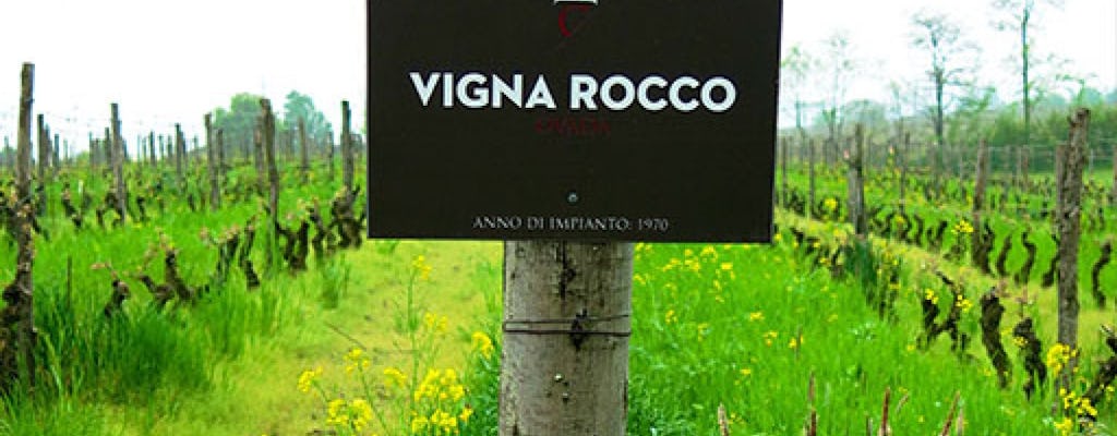 Biologisch-dynamische Weinprobe mit Weingutstour im Monferrato