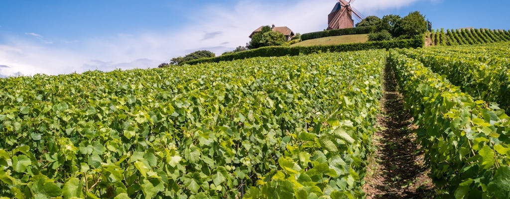 Visite des vignobles champenois et dégustation