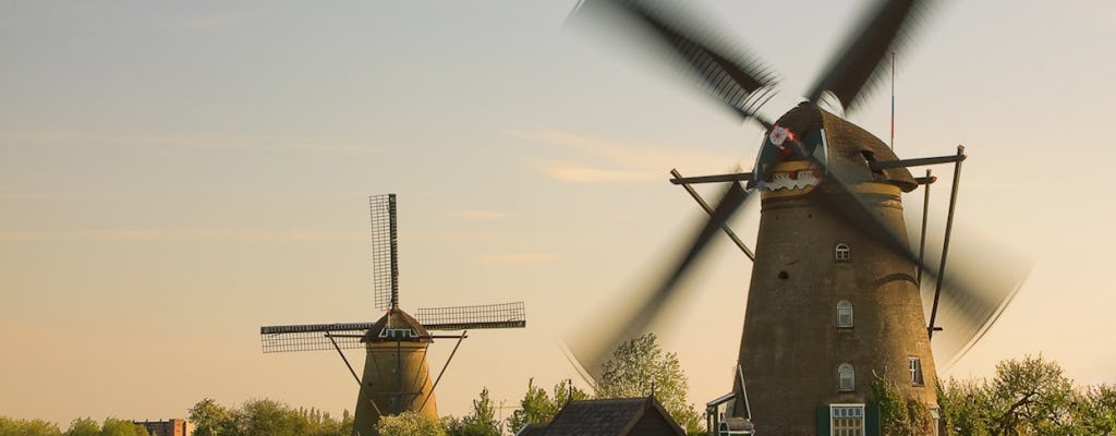 Mała wycieczka grupowa do wiatraków Kinderdijk i Hagi