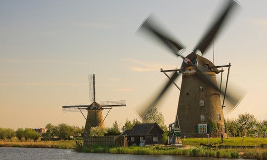 Dagtocht met kleine groepen naar de windmolens van Kinderdijk en Den Haag