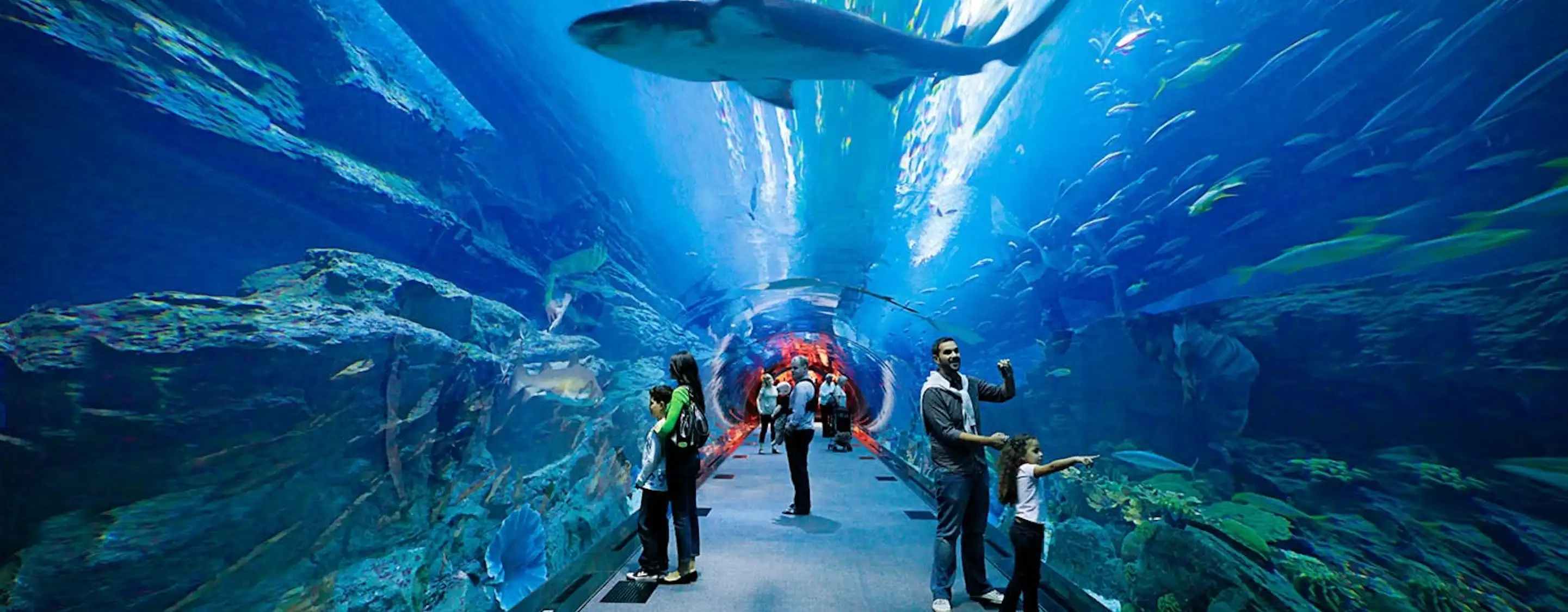 Dubai Aquarium & Unterwasser-Zoo