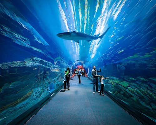 Acuario y zoo submarino de Dubái