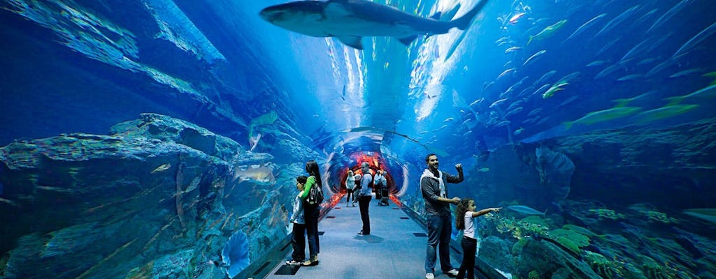 Dubai Aquarium & Unterwasser-Zoo