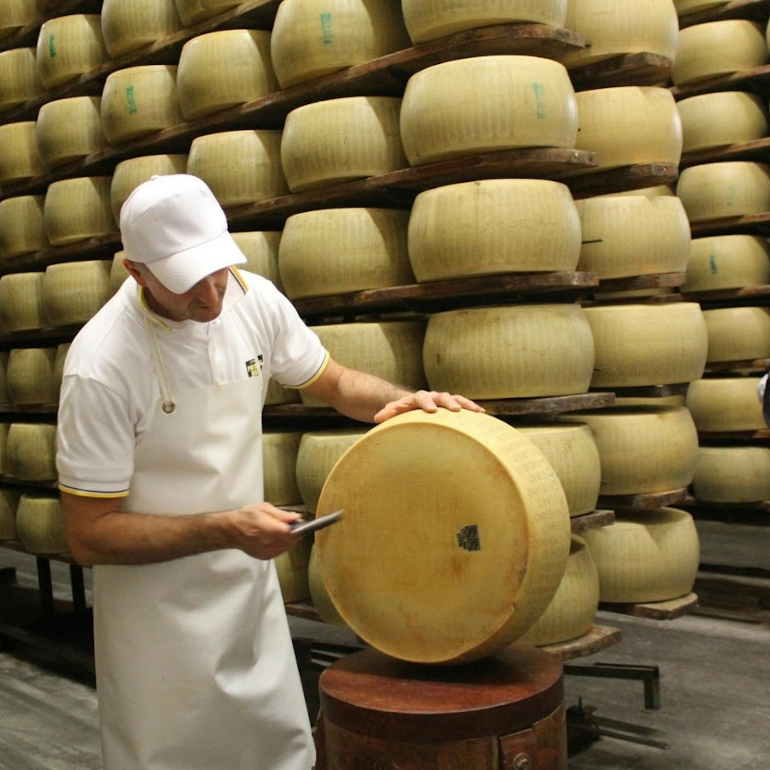 Сайты производителей сыра. Завод пармезан в Италии. Сыроварня завод в Италии. Реджано сыроварня Реджано. Сыр пармезан производители Италии.