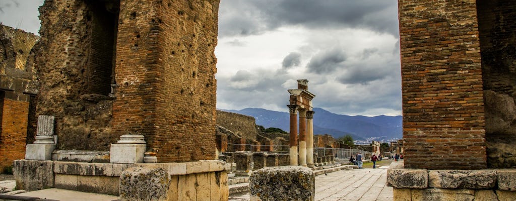 Tour di Pompei e Napoli di una giornata con partenza da Roma