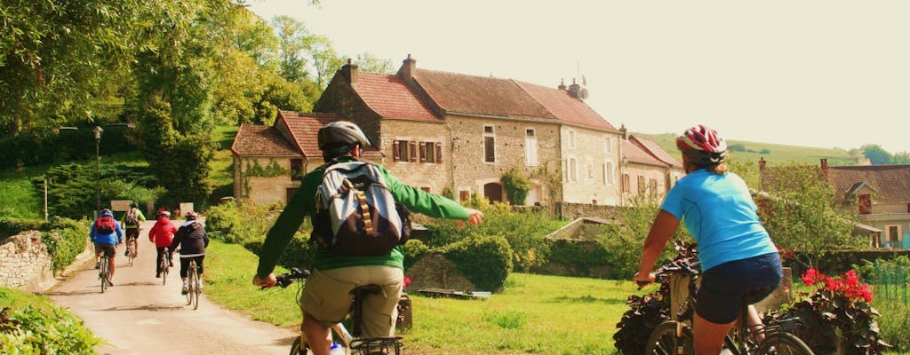 Burgundy bike and wine tour