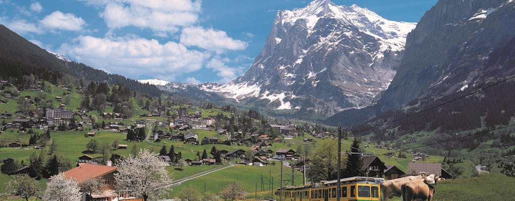 Escursione di un giorno a Grindelwald e Interlaken