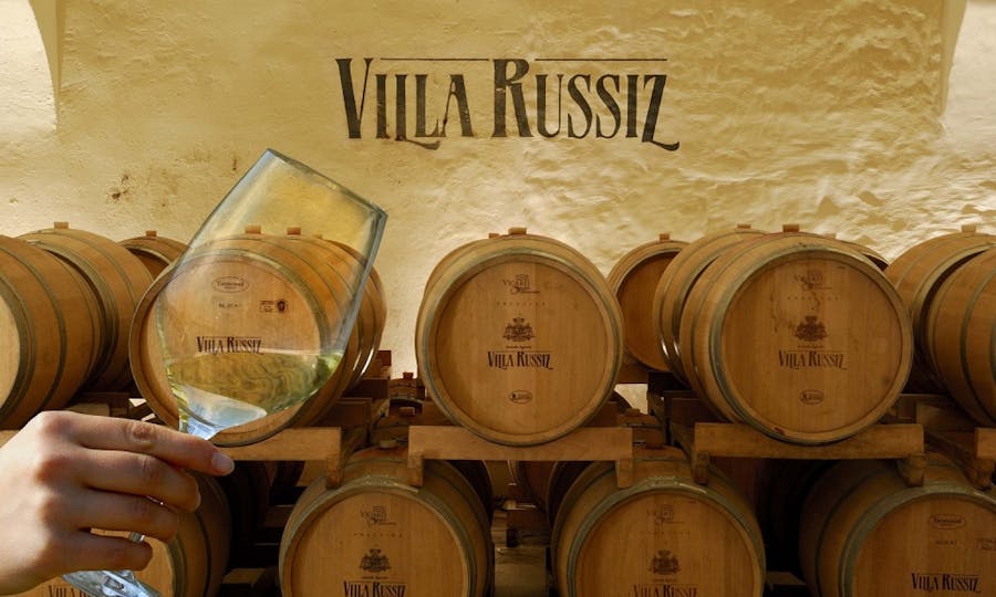 Sampling of Friulian wines with D'Osvaldo Di Cormons prosciutto at the Russiz Villa