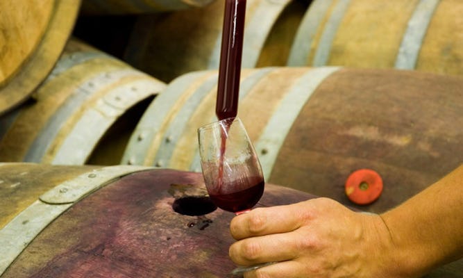 Prova de vinhos Amarone e criação do seu próprio vinho em Verona