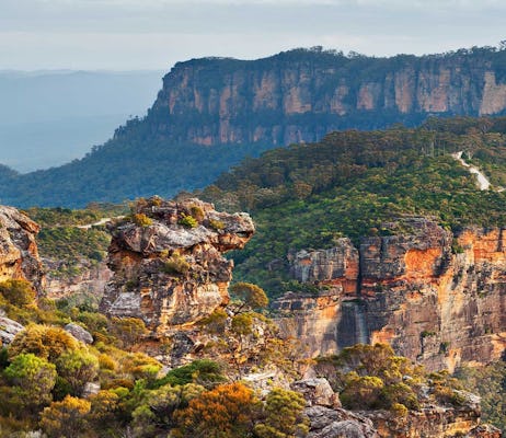 Blue Mountains and wildlife experience