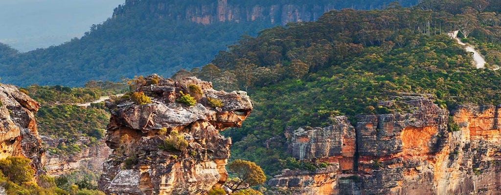 Blue Mountains and wildlife experience
