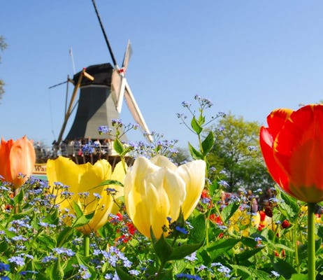 Keukenhof i zwiedzanie pól kwiatowych z Rotterdamu