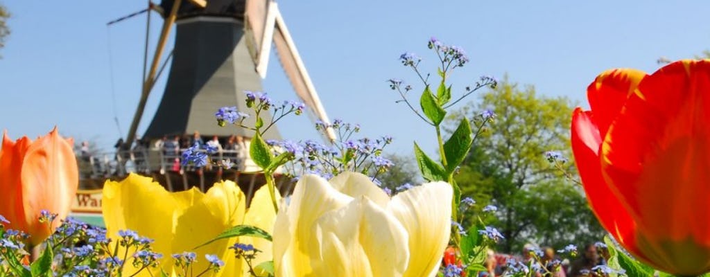 Keukenhof i zwiedzanie pól kwiatowych z Rotterdamu