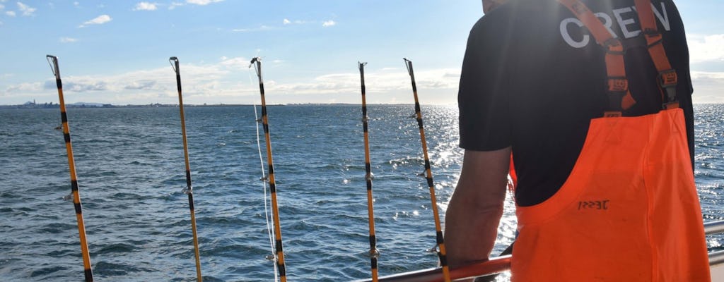 Passeio de pesca marítima de Reykjavik