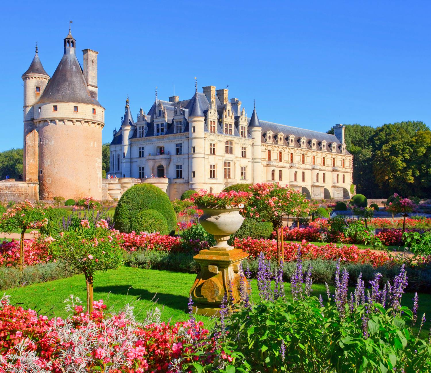 Billets Et Visites Du Château D'Amboise | Musement