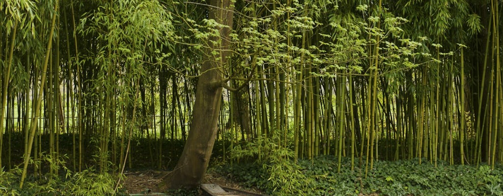 Fotogaleria privada de Giverny