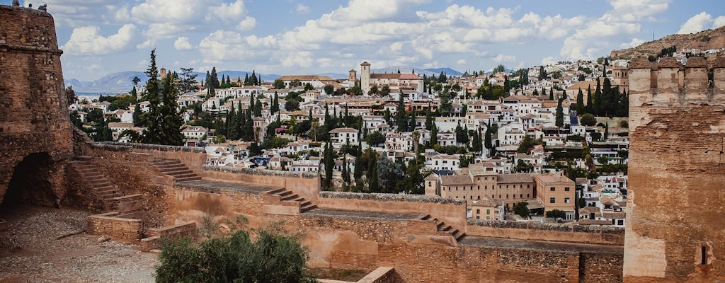 Historic guided tour of Granada and Albaycín
