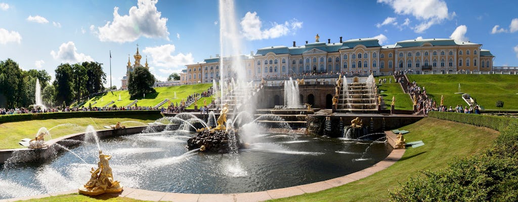 Tour del castello e dei giardini di Peterhof con ritiro in hotel