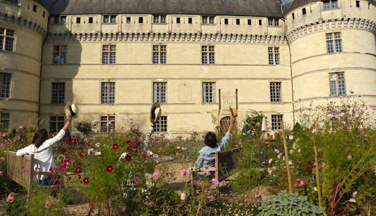 Visite guidée des châteaux de Villandry et d'Azay-le-Rideau au départ de Tours