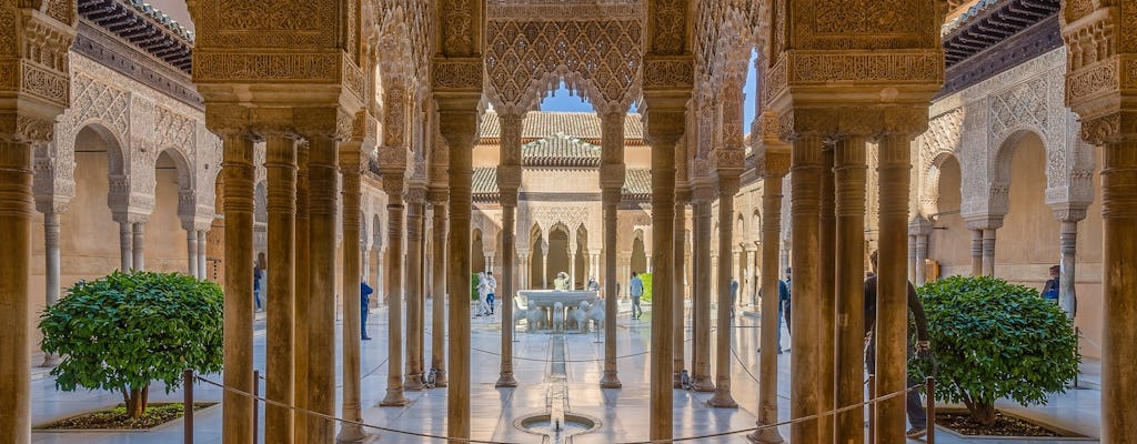 Entrada a la Alhambra por la mañana con audioguía