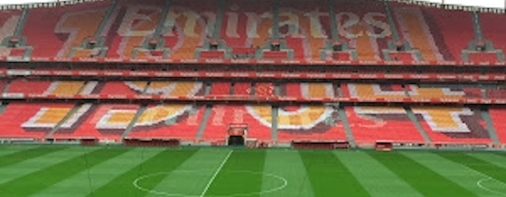 Benfica Stadium and museum guided tour