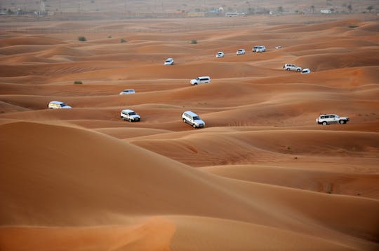 Al Maha desert experience from Dubai
