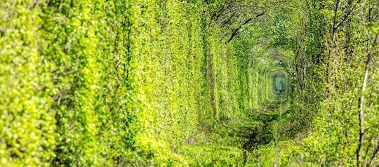 Excursion d'une journée au tunnel de l'amour de Kiev