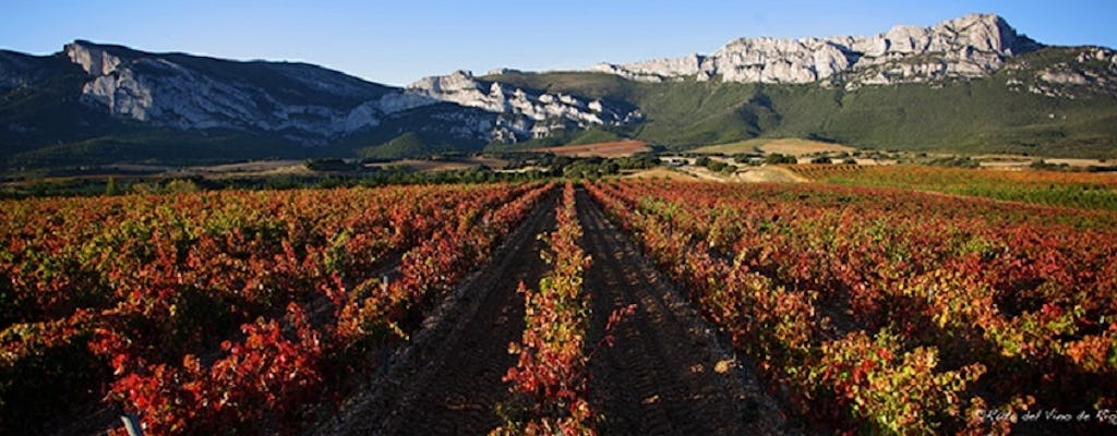 La Rioja Alavesa excursão privada do dia do vinho chauffered
