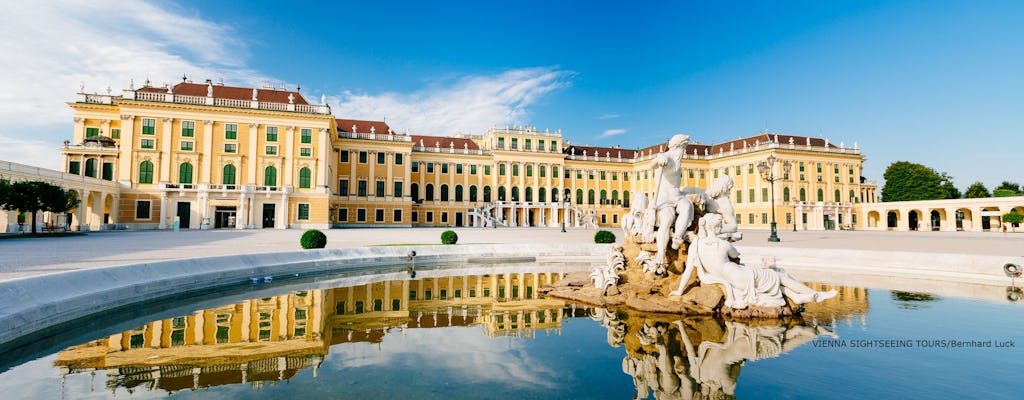 Visita sem filas ao Palácio de Schönbrunn e City Tour em Viena pela manhã