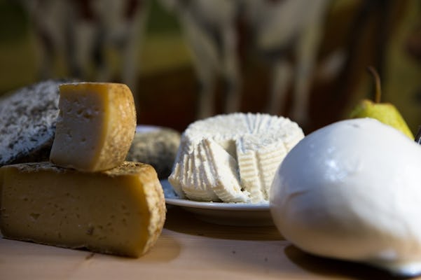 Degustação de queijos orgânicos Zoff Farm no Friuli