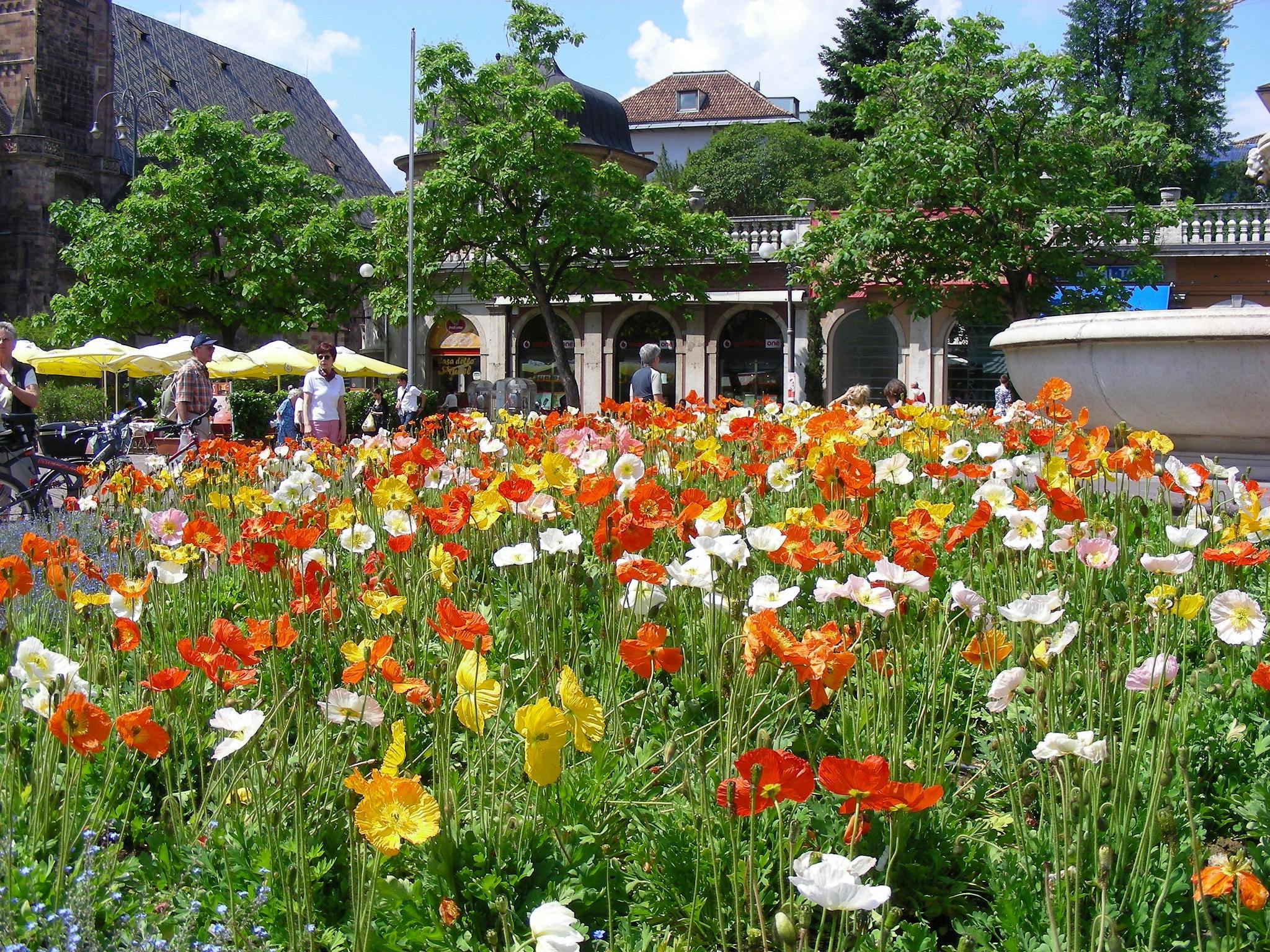 Visita guiada privada de Bozen en el Trentino Alto Adige