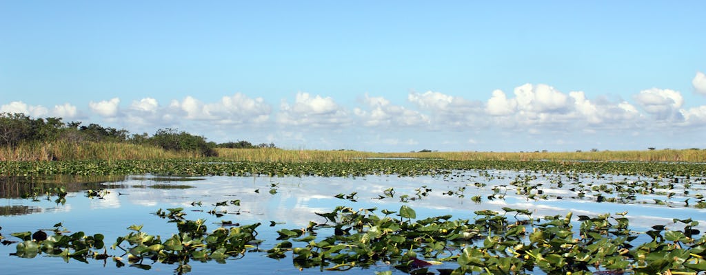 Everglades tour from Miami