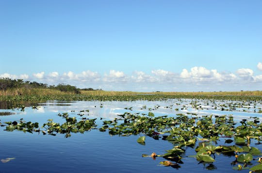 Everglades tour from Miami